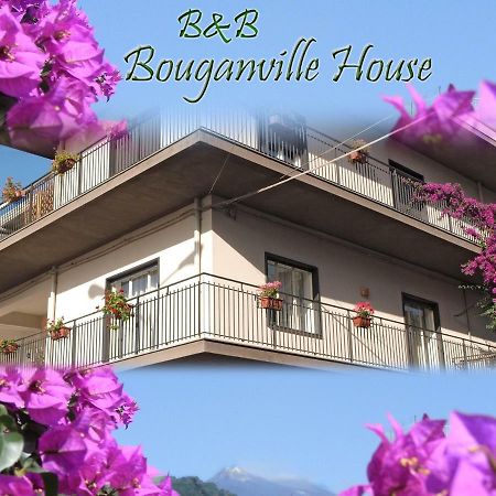 زافيرانا إتنيا Bouganville House المظهر الخارجي الصورة